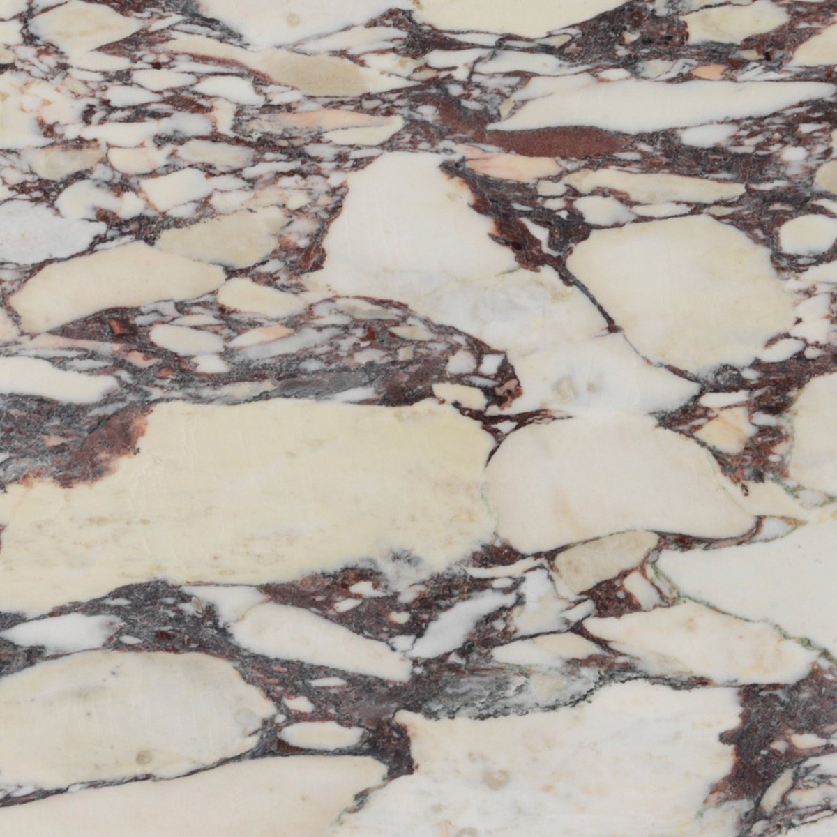 Calacatta Viola Marble Floor