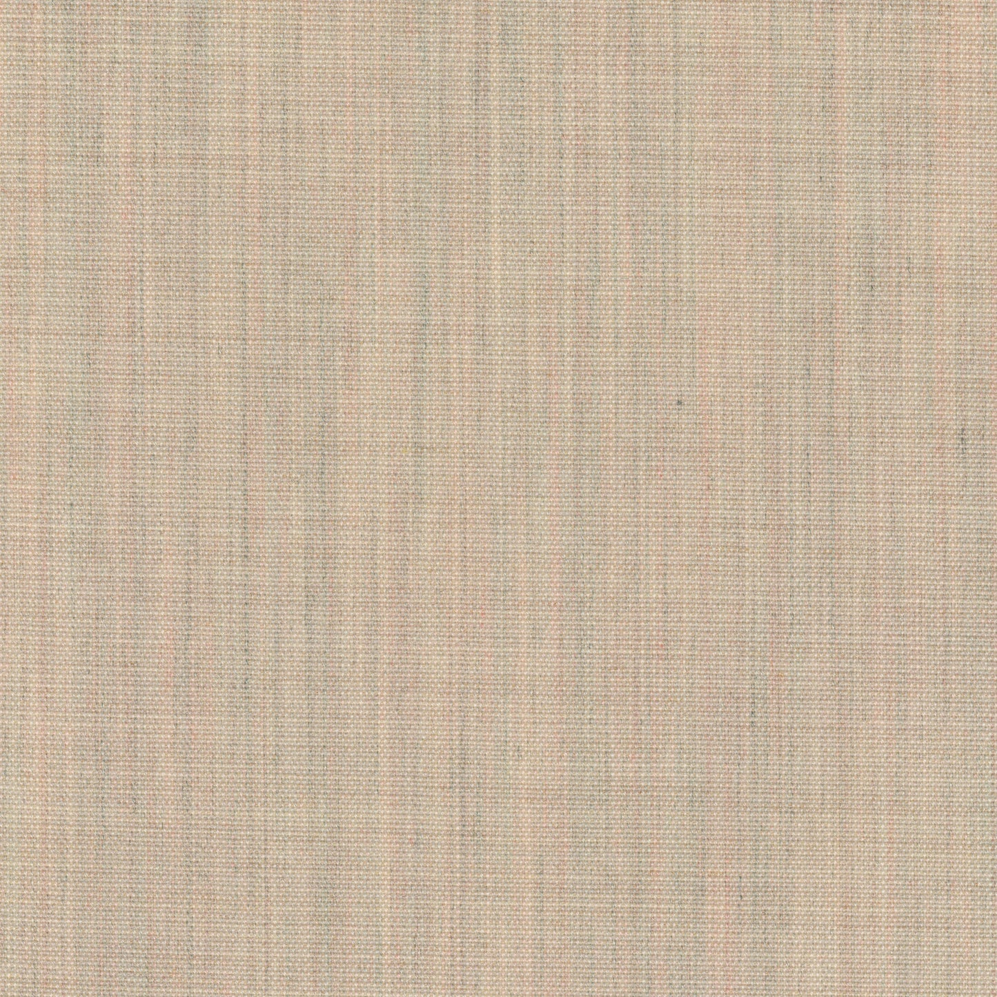 Canvas 2, 216