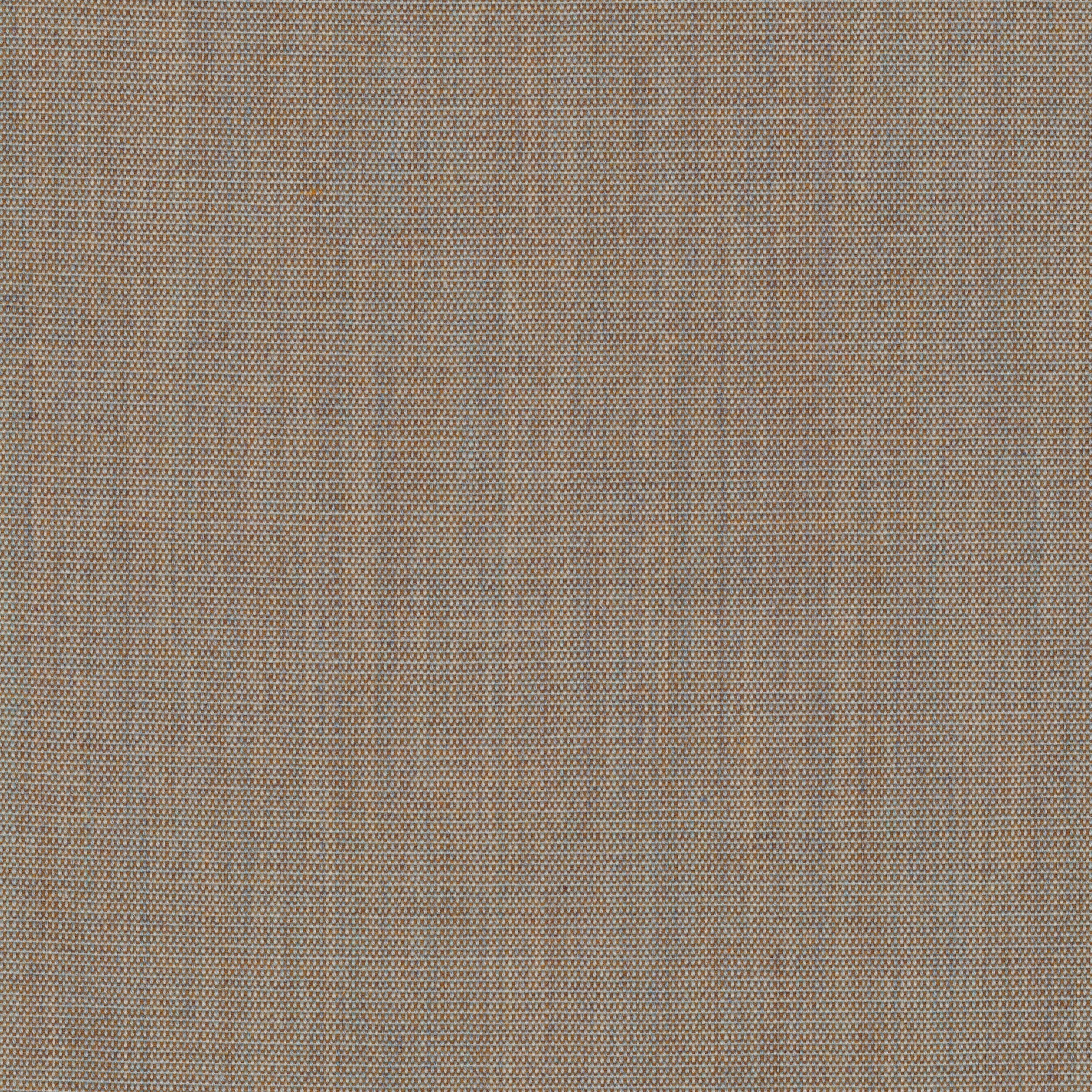 canvas_0244_4004d675-af8a-4ab5