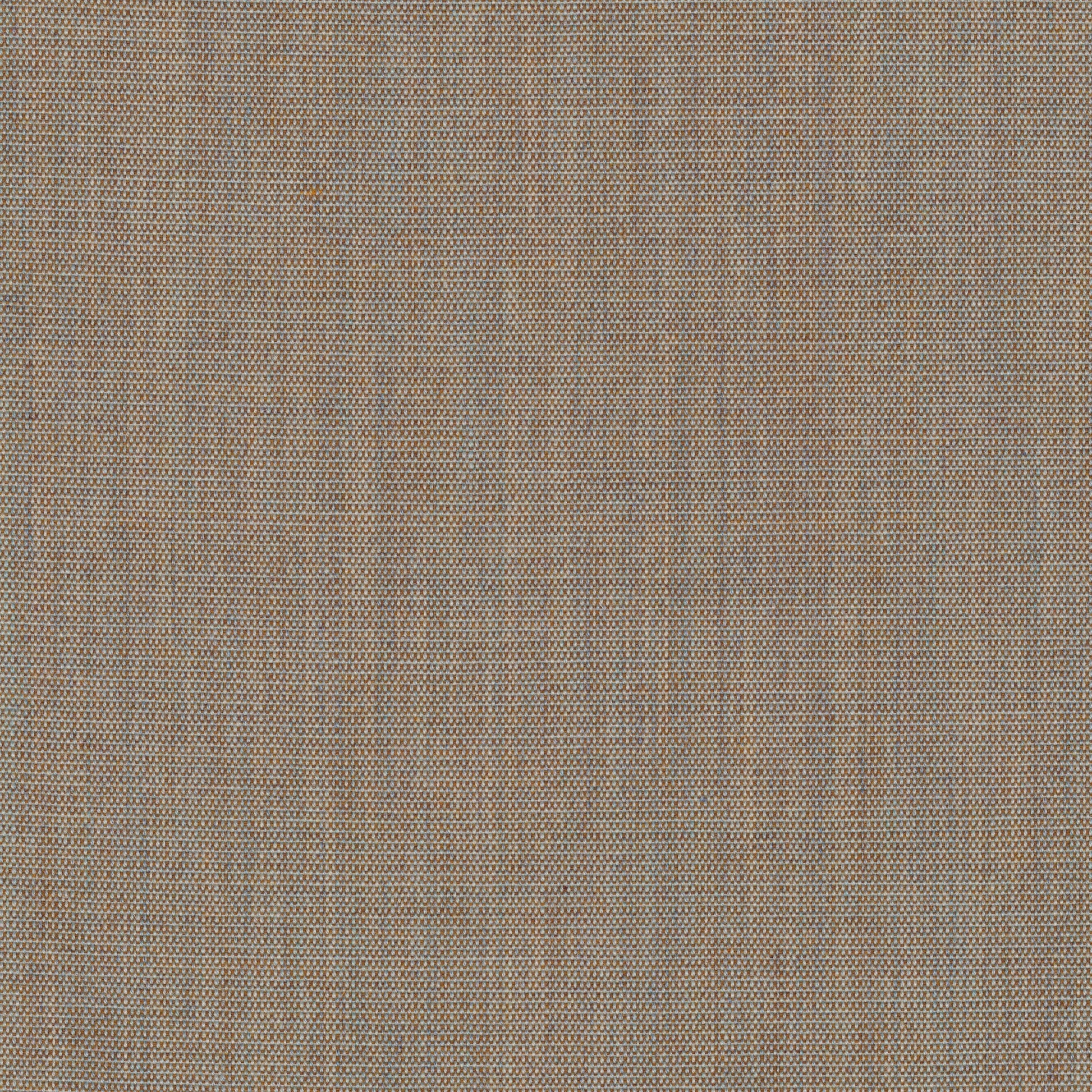 Canvas 2, 244
