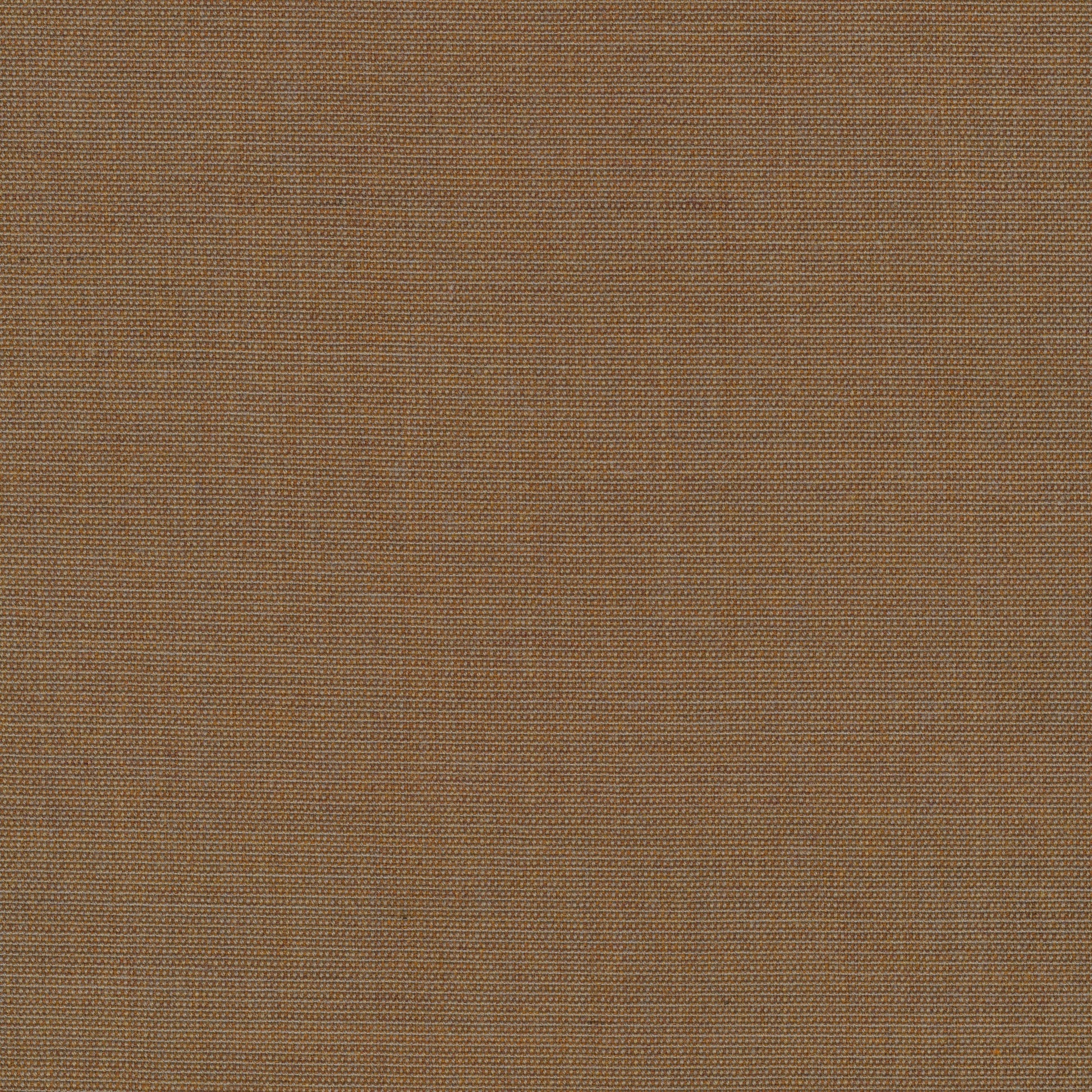 Canvas 2, 254