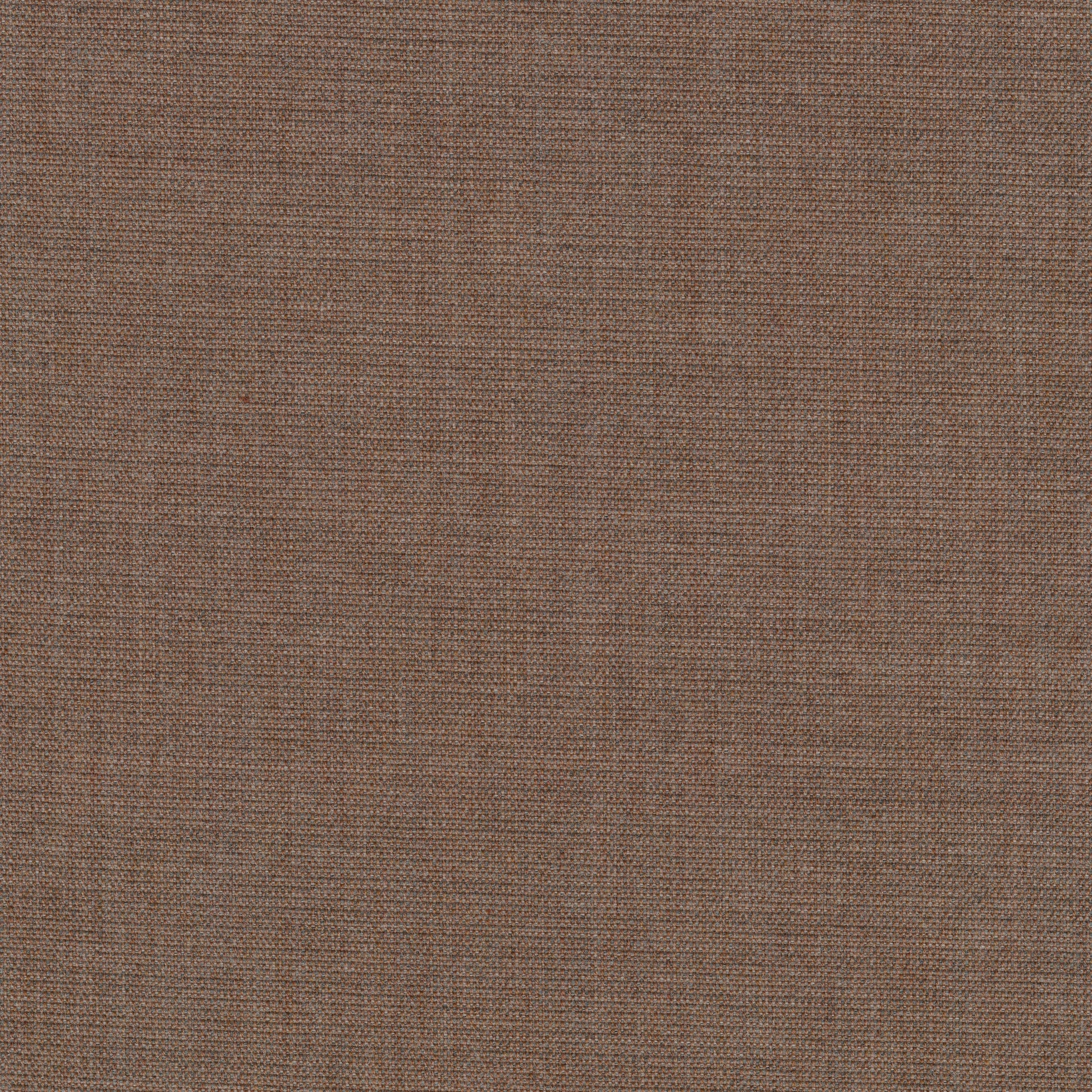 Canvas 2, 356