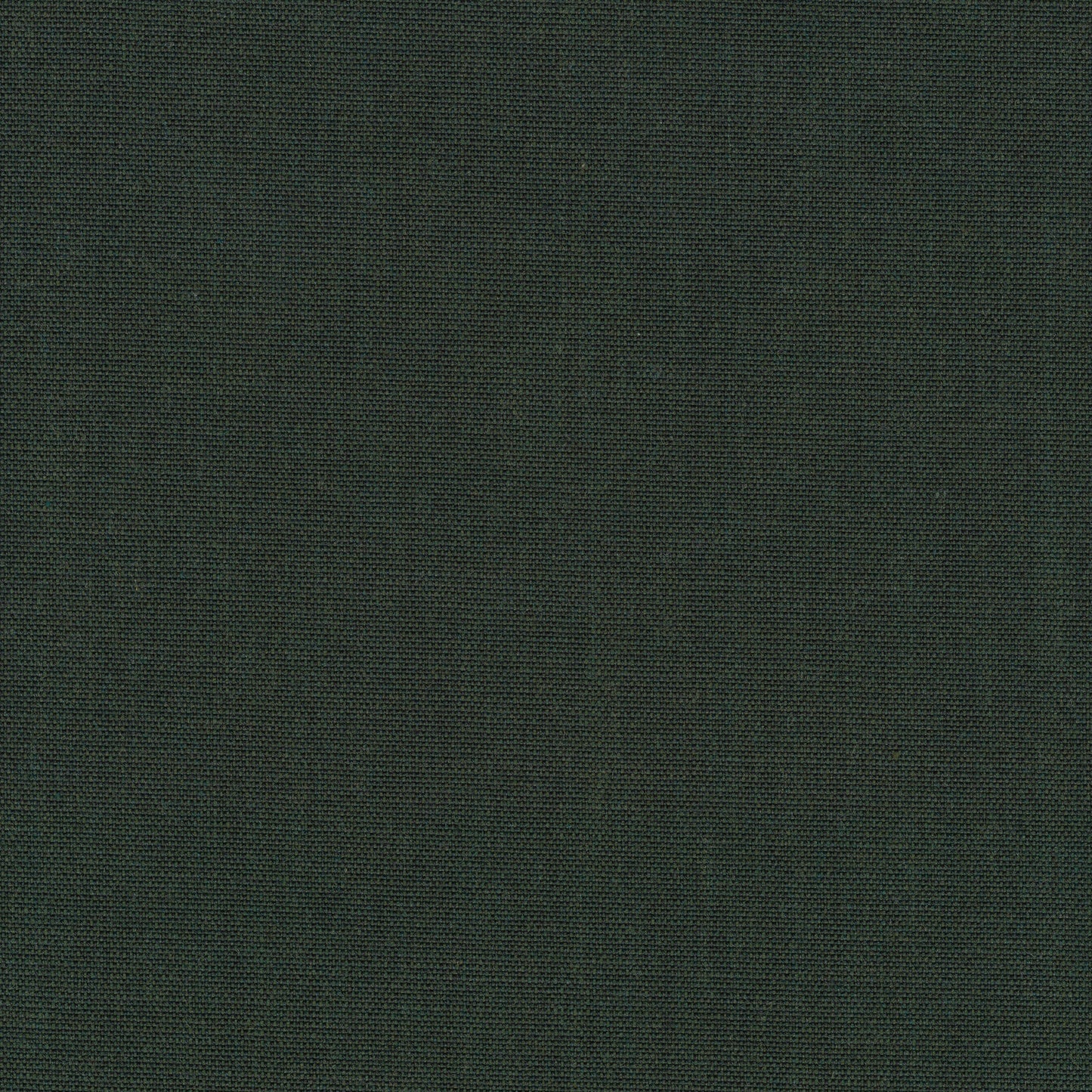 Canvas 2, 996