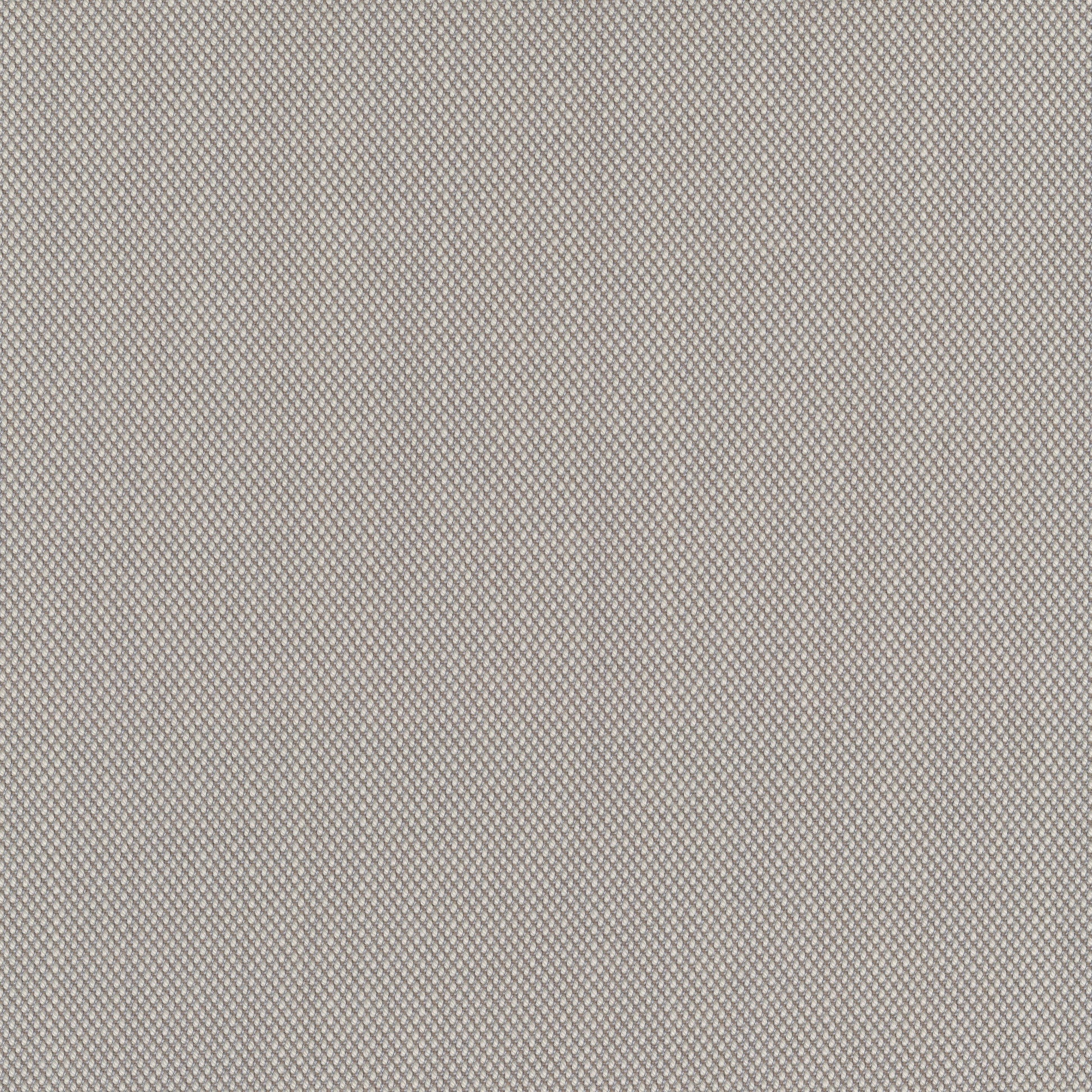 Steelcut Trio 3, 205