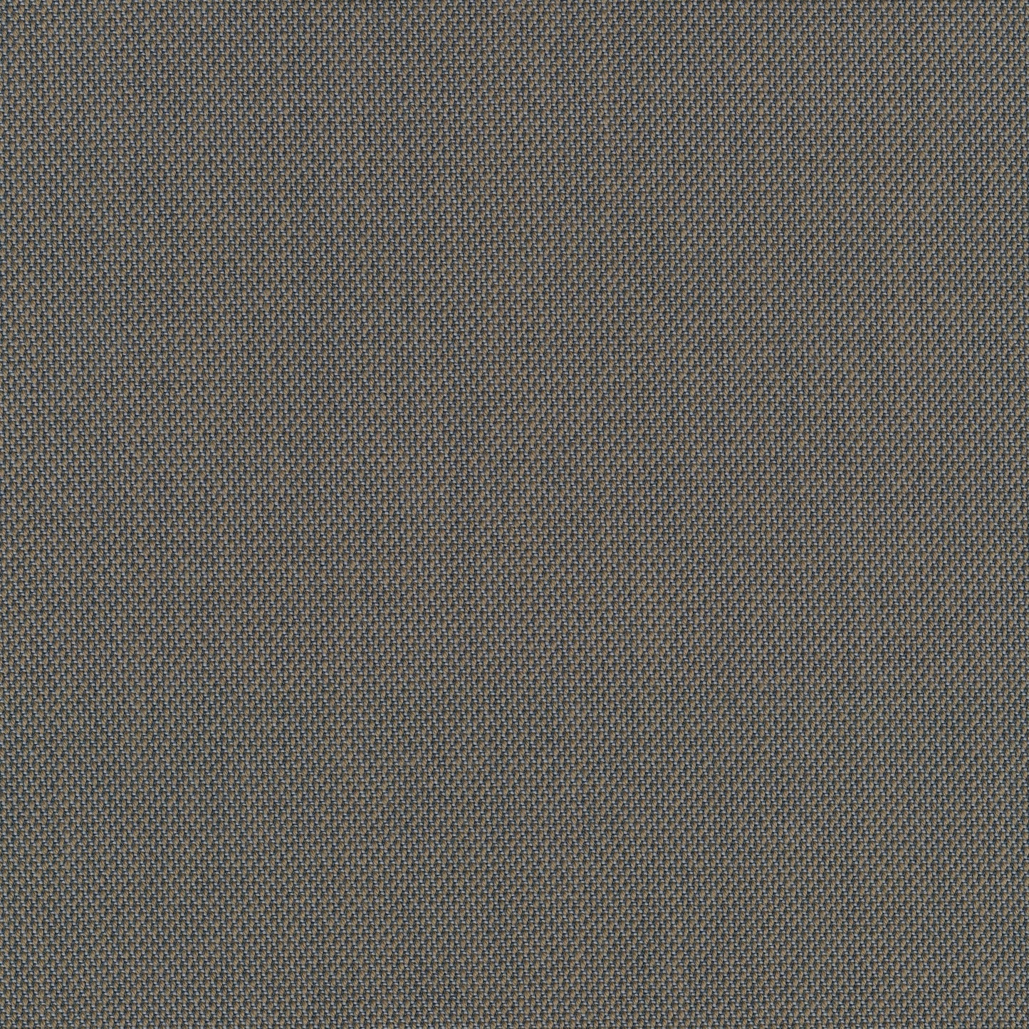 Steelcut Trio 3, 253