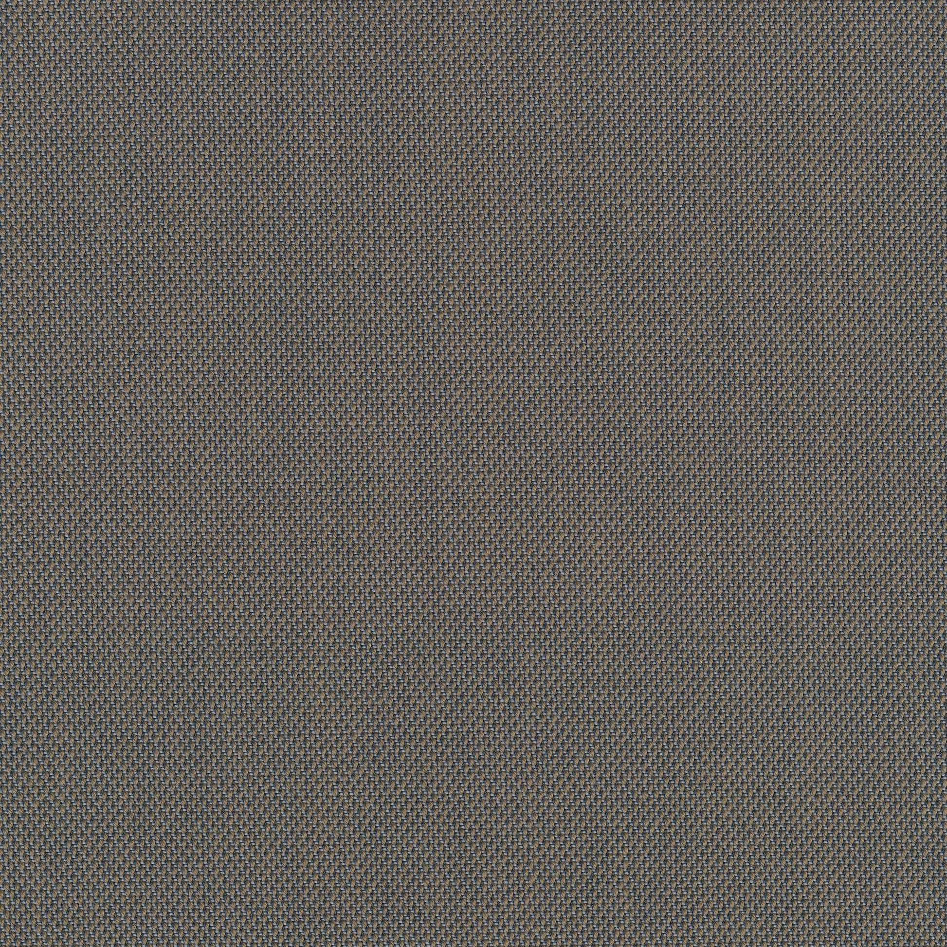 Steelcut Trio 3, 253