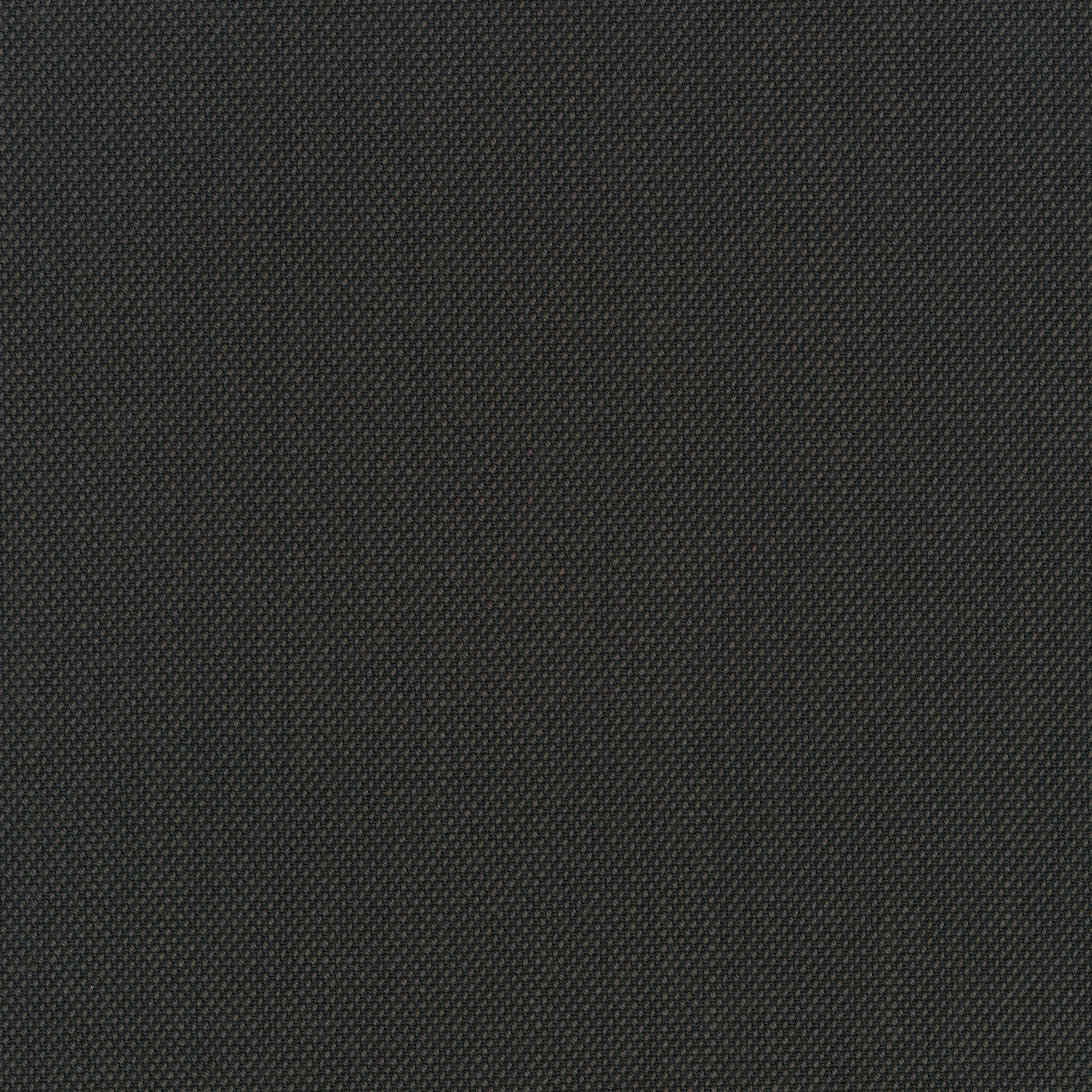 Steelcut Trio 3, 383