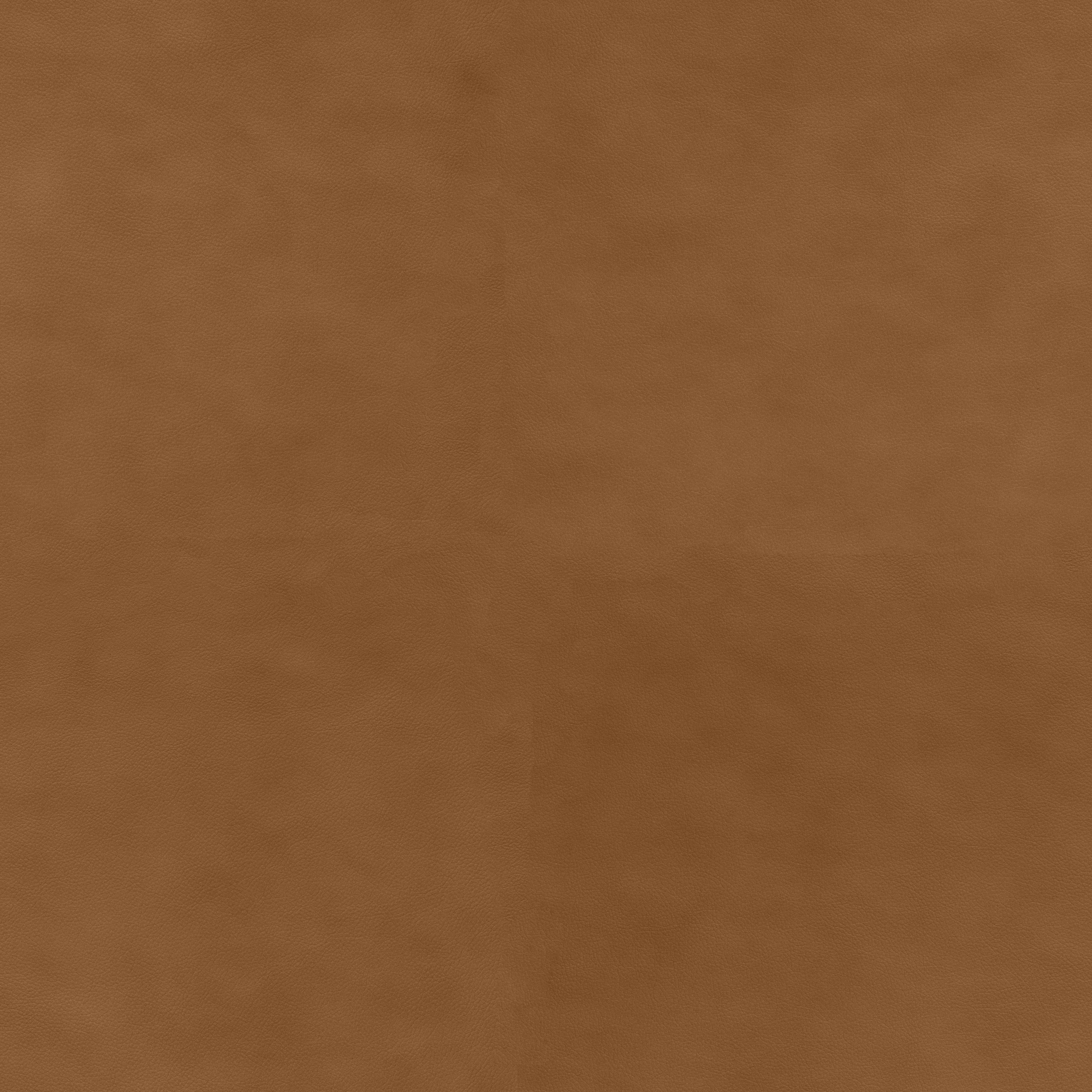 8/11迄　TENDERLOIN BDP XL brown USDA Select Whole Beef Loin Tenderloin, 5 - 8 lbs. | BJ's