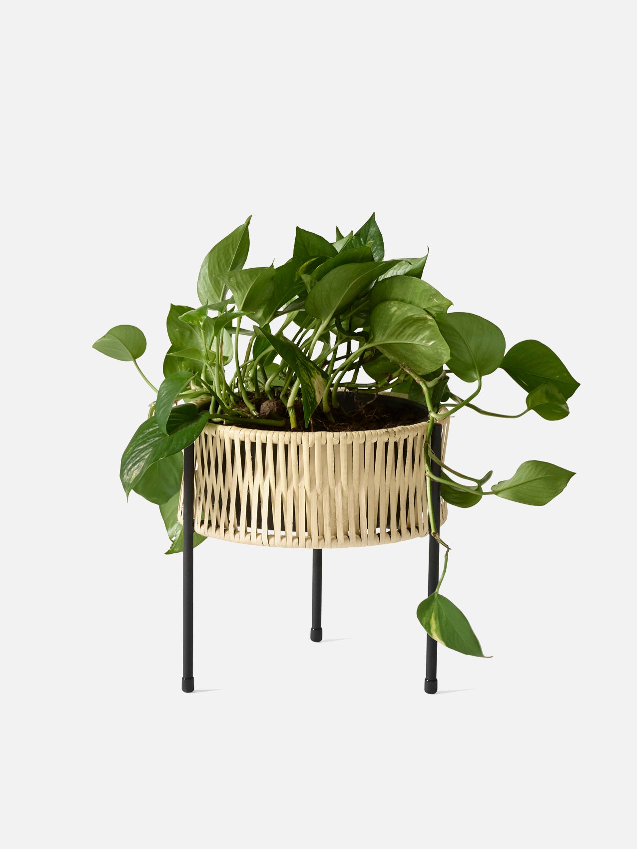 Umanoff Planter-Planter-Arthur Umanoff-menu-minimalist-modern-danish-design-home-decor