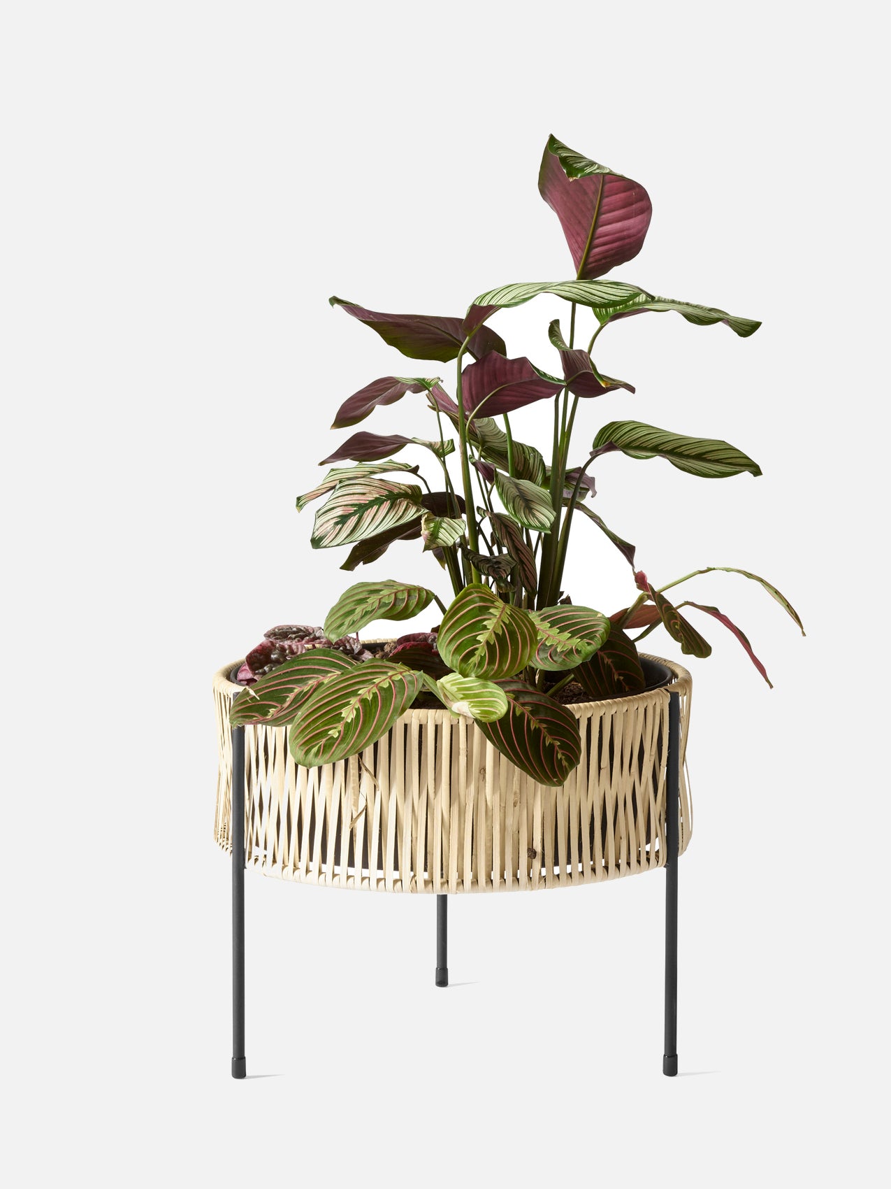 Umanoff Planter-Planter-Arthur Umanoff-menu-minimalist-modern-danish-design-home-decor