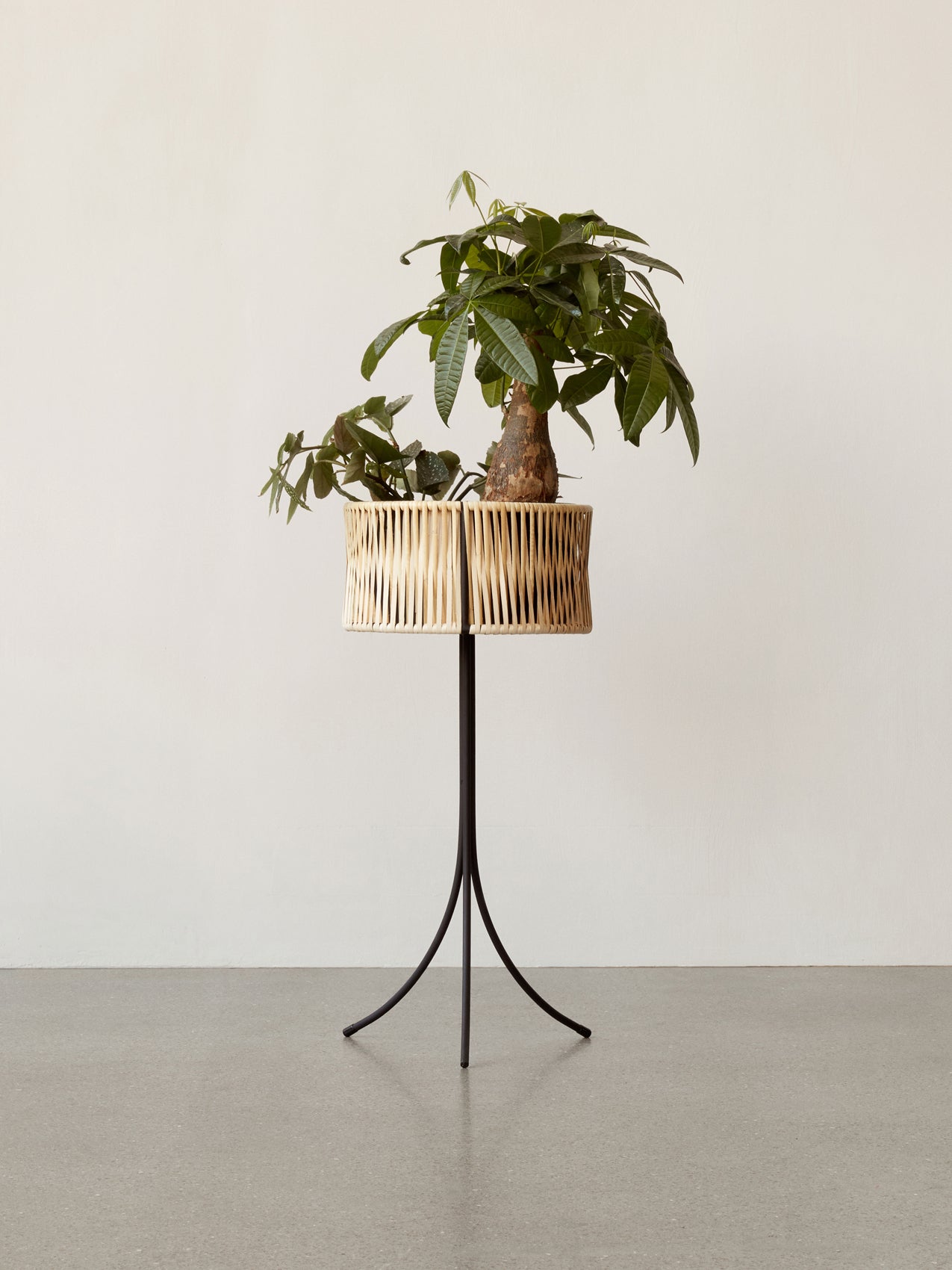 Umanoff Planter-Planter-Arthur Umanoff-menu-minimalist-modern-danish-design-home-decor