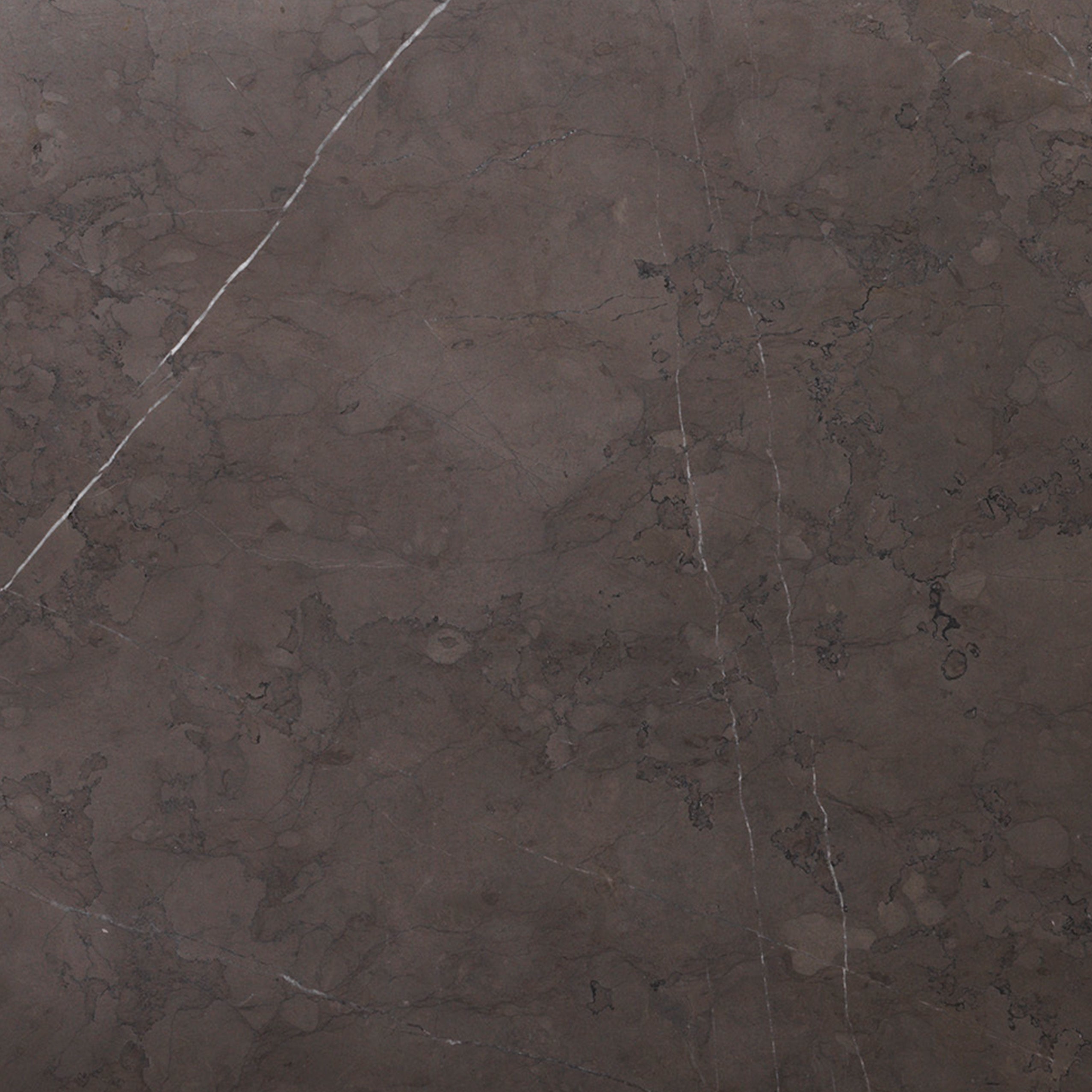 Calacatta Viola Marble