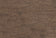 Oak Veneer, Dark-stained, Lacquer