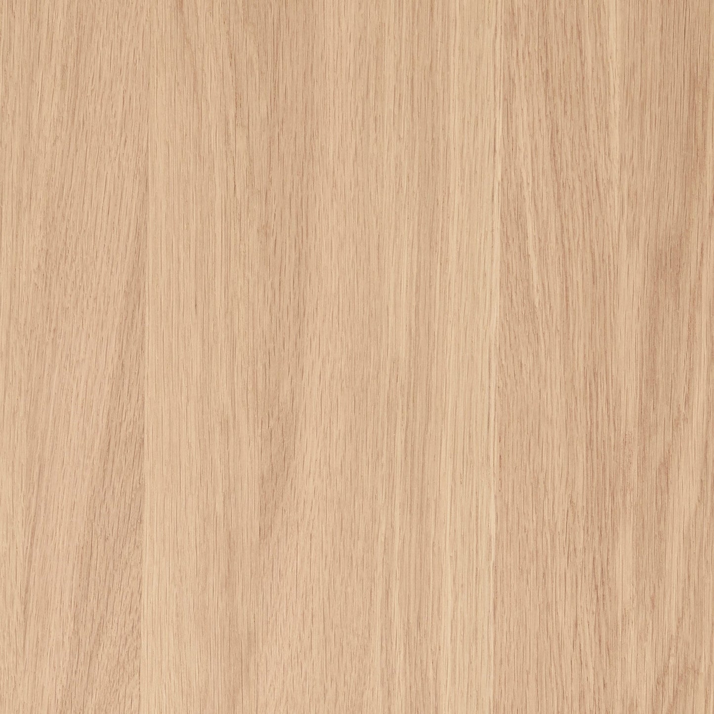 Solid Oak, Glossy Lacquer
