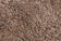 Sheepskin, Sahara