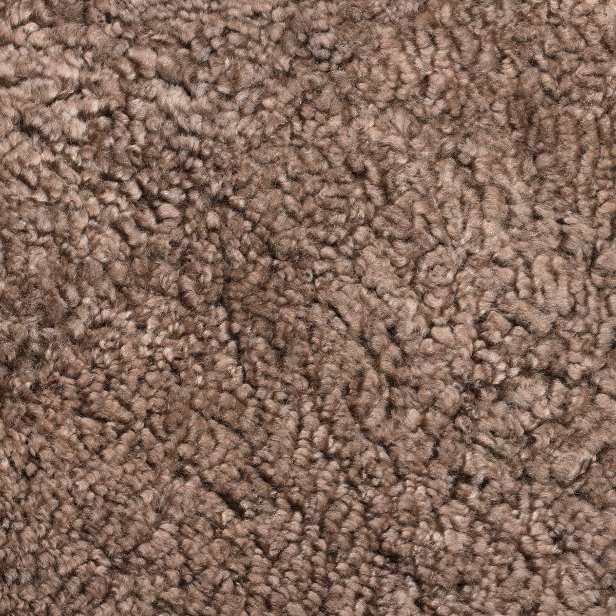 Close-up of plush brown Sheepskin, Sahara showcasing the soft, curly texture and natural fur quality.