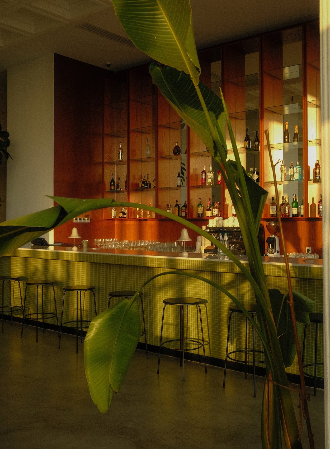 Green-tiled bar with black metal stools, wooden back shelving stocked with bottles, large tropical leaves in foreground