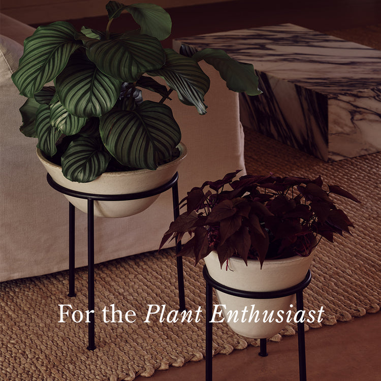 TEXT = For the Plant Enthusiast