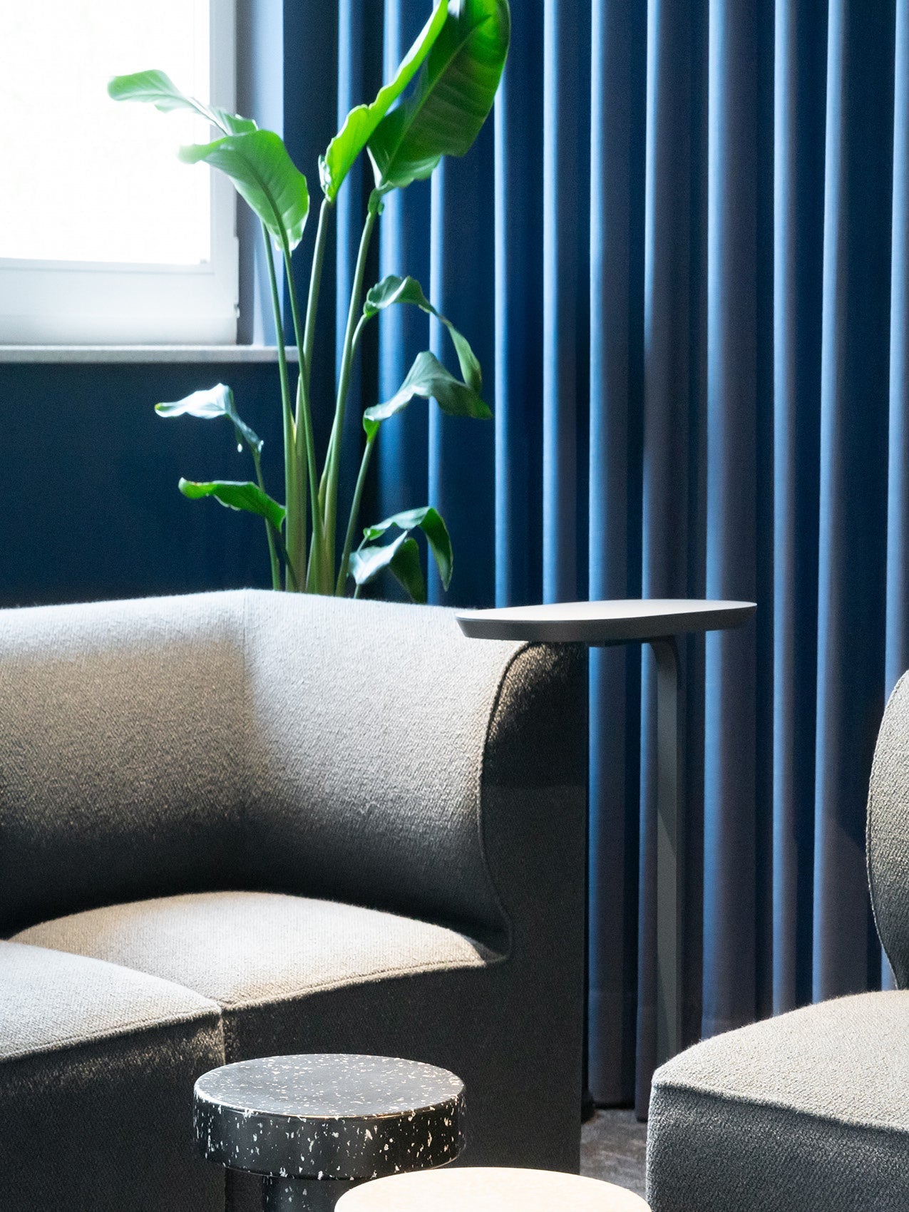 Curved grey upholstered lounge sofa with black terrazzo side stools, slim black side table and tall green plant by blue