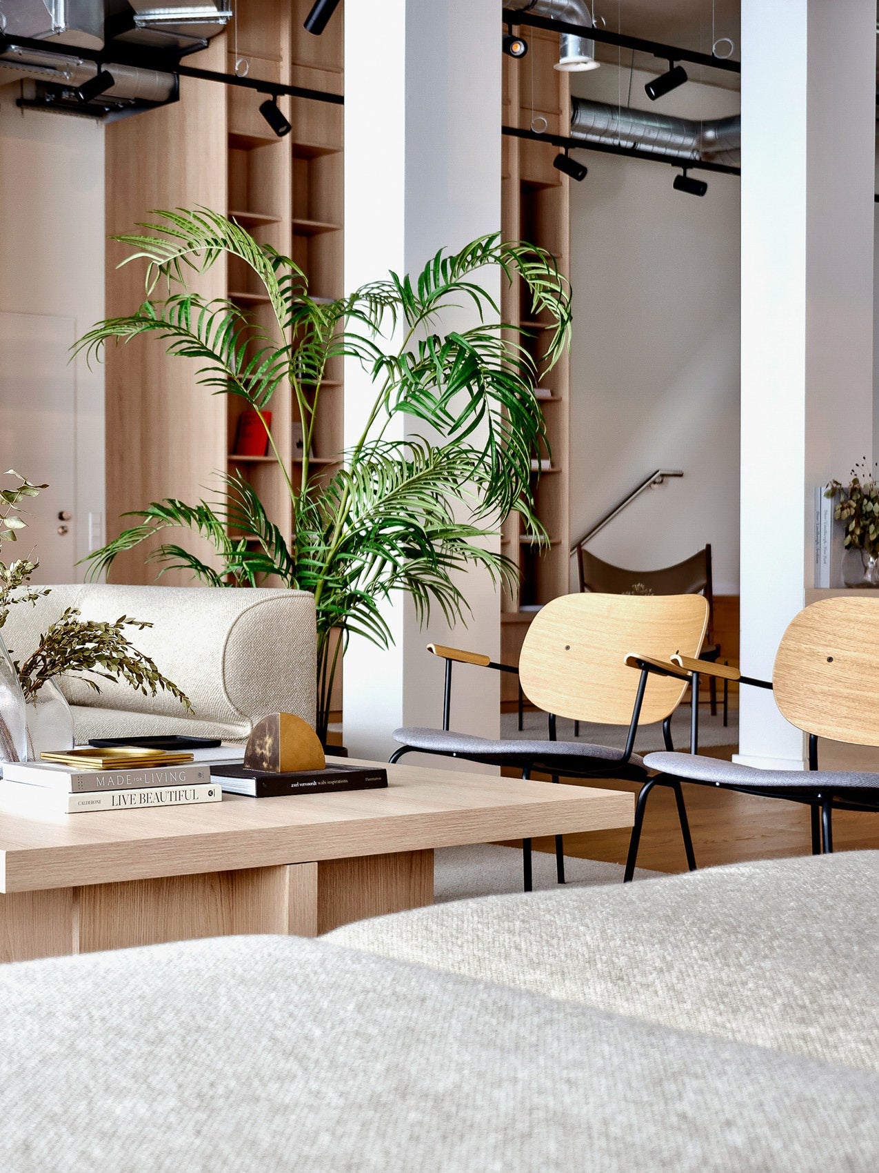 Minimal Scandinavian living room with light oak coffee table, pale fabric sofa, wooden armchairs and tall green potted palm.