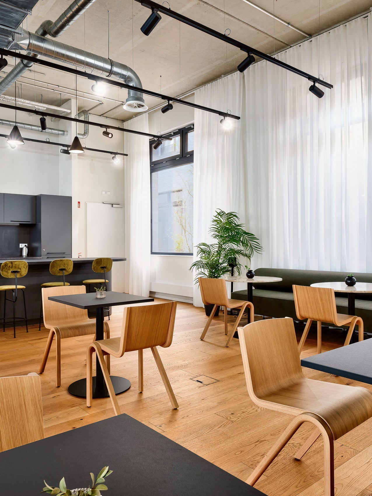 Modern café interior with bent plywood chairs, black square tables, green banquette, wood floor and pendant track lights