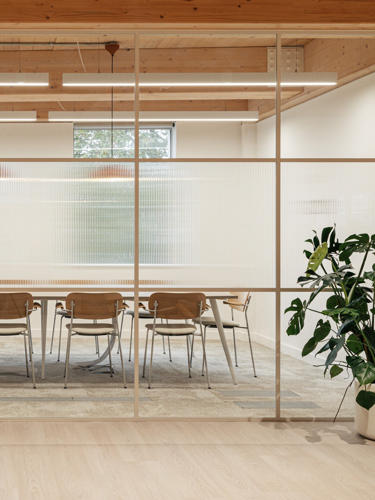 Modern meeting room seen through glass panels, wooden chairs and table, ribbed privacy film, potted green plant.