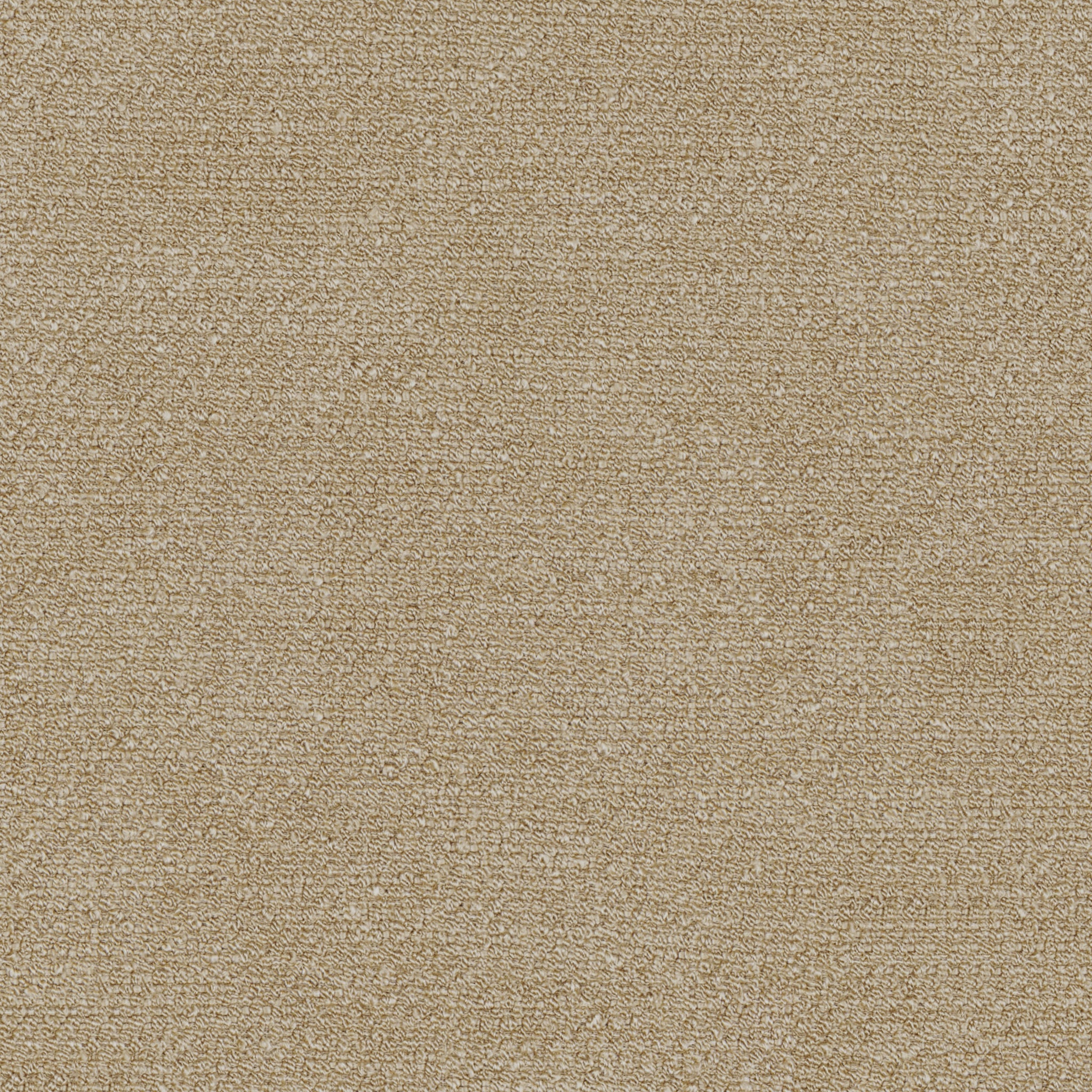 Audo Bouclé, 02