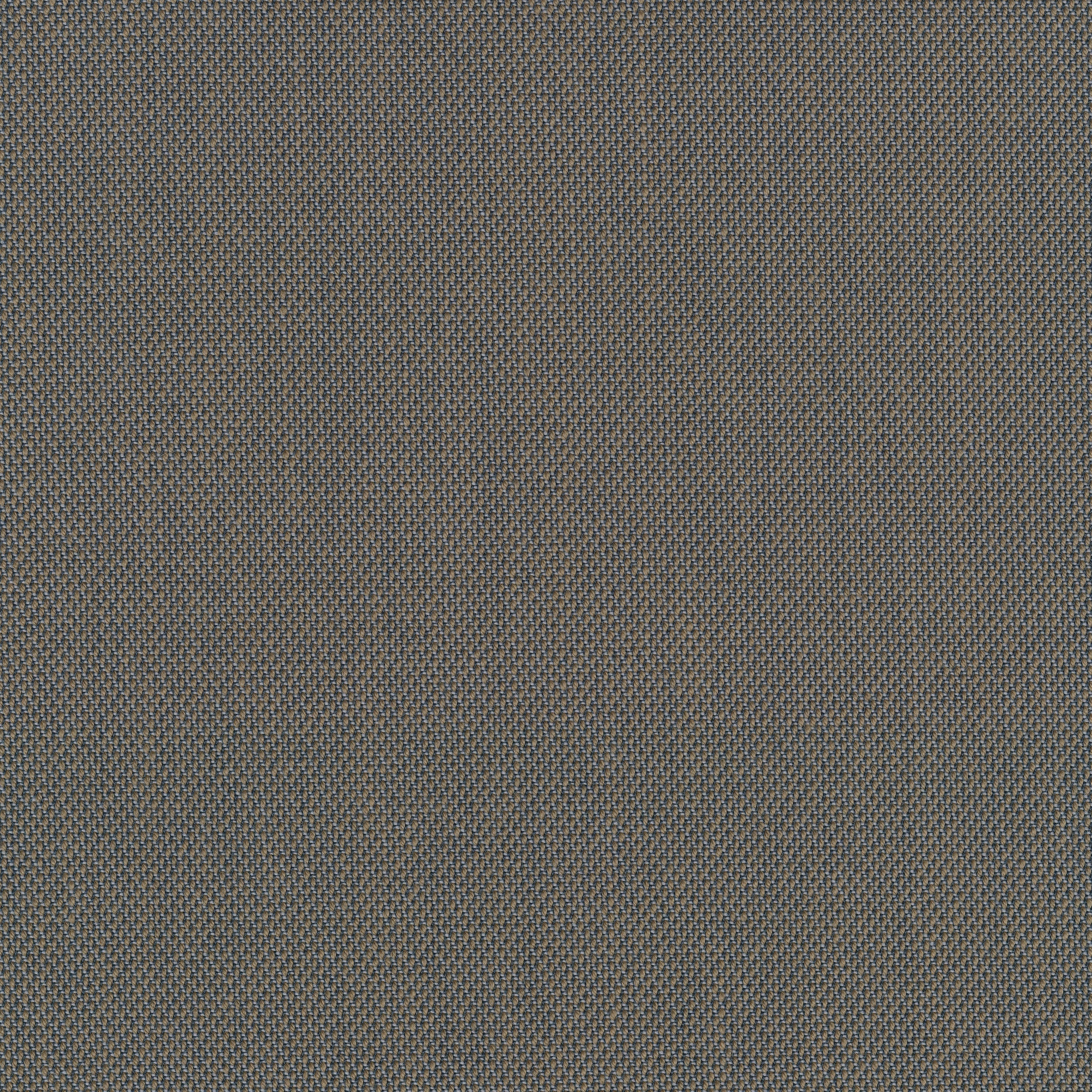 steelcut_trio_0253_ffd2c45f- steelcut_trio_0253_ffd2c45f-
