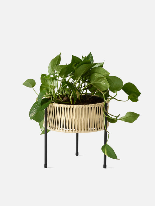 Umanoff Planter-Planter-Arthur Umanoff-menu-minimalist-modern-danish-design-home-decor