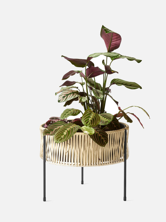 Umanoff Planter-Planter-Arthur Umanoff-menu-minimalist-modern-danish-design-home-decor